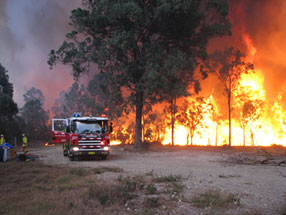 Photo: Cranebrook, NSW, 12th December 2006