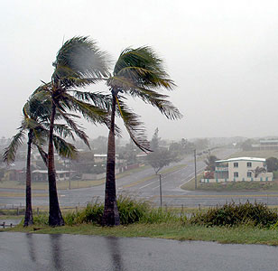 Photo: Cyclone Larry, Queensland, March 20th 2006