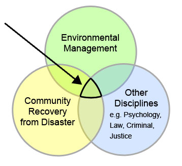 Image: Interrelatedness between disciplines